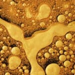 Pricey gold shown in an abstract melted view